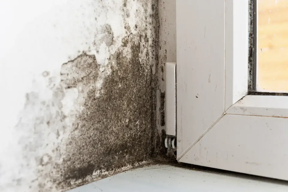 Water Damage in Lakeside, CA